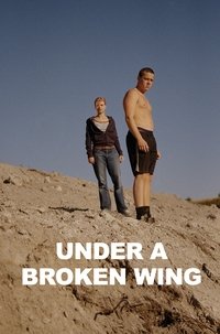 Poster for Under a Broken WingD