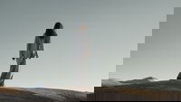 Backdrop 107