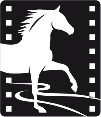 Logo - Little Horse Crossing the River