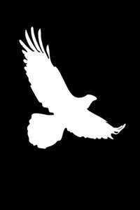 Poster for Bird on the Rise