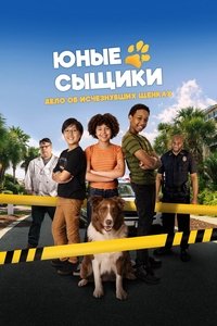 Poster 2