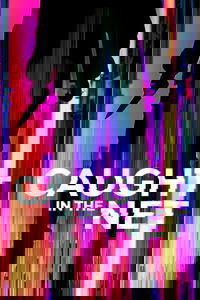 Poster for Caught in the Net