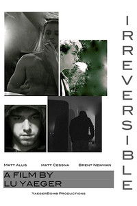 Poster for Irreversible