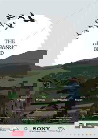 The Homing Bird