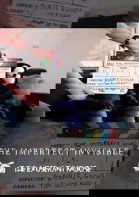 The Imperfect Invisible