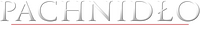 Logo 13