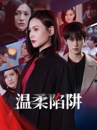 Poster for 温柔陷阱