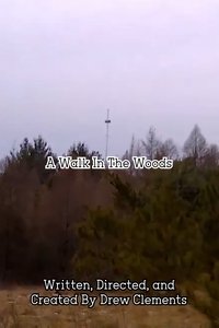 A Walk In The Woods