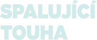 Logo 12