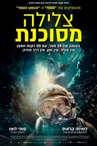 Poster 8