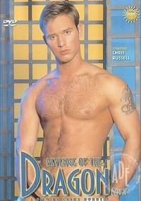 Poster for Revenge Of The Dragon 2