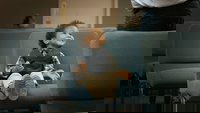 Backdrop 0