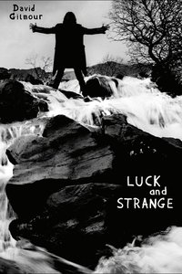 Poster for David Gilmour: Luck And Strange