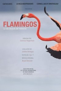 Poster for Flamingos