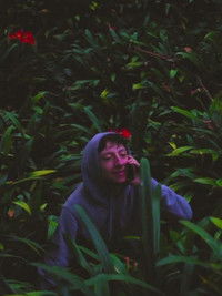 Poster for Misery Loves Company