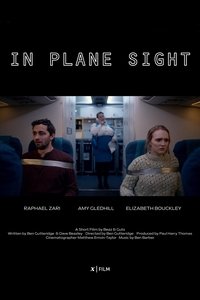 In Plane Sight