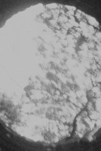 Poster for The Initiation Well