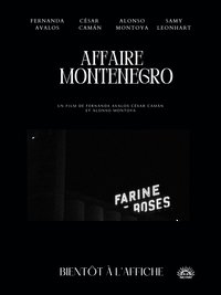 The Montenegro Affair