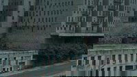 Backdrop 9
