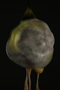 Poster for Soup Frog