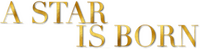 Logo 13
