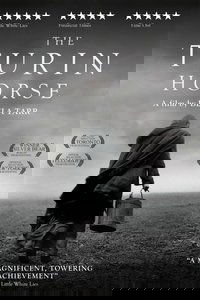 Poster 8