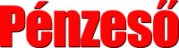 Logo 13