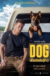 Poster 30