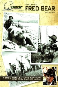 Bear Video Theater