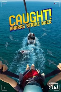 Poster for Caught! Sharks Strike Back