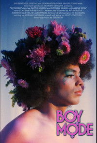 Poster for Boy Mode