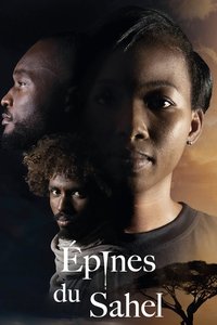 Poster 3