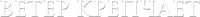 Logo 13