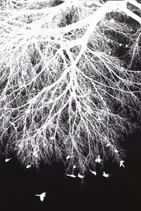 Poster for A Jurist for Nothing