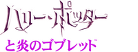 Logo 31