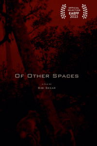 Poster for Of Other Spaces