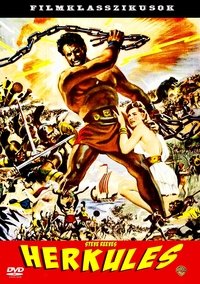 Poster 13