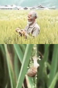 Poster for The Close to Nature Garden