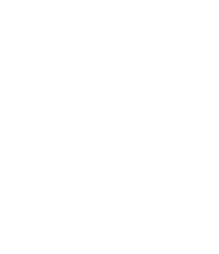 Logo 13