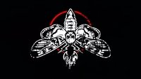 MyTwoSense's profile image