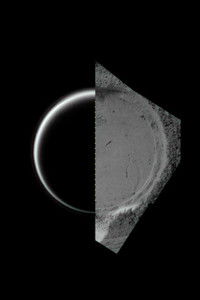 I’m Trying to Speak the Language of My Eyes