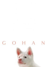 Poster for Gohan