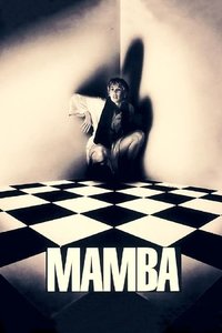 Poster 4