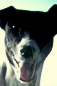 Poster for Escape Velocity