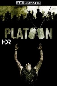 Poster 22