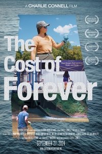 Poster 3