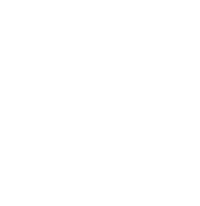 Logo 30