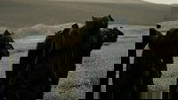 Backdrop 6