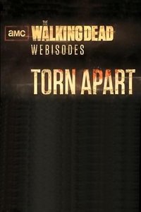 Poster for Miniseries