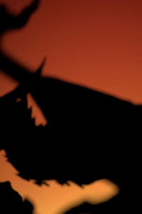 Poster for Whoa, Hoo-ah, Huh!